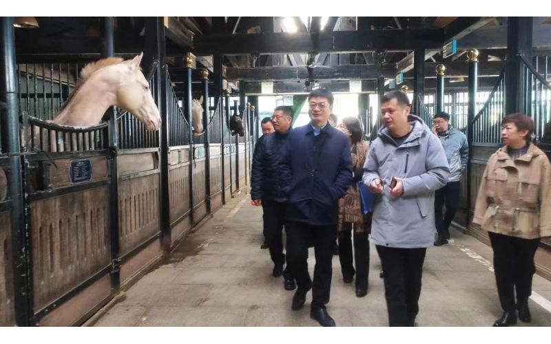 高雷副廳長在野馬集團調(diào)研時表示，要通過科技助力，精準解決“卡脖子”問題